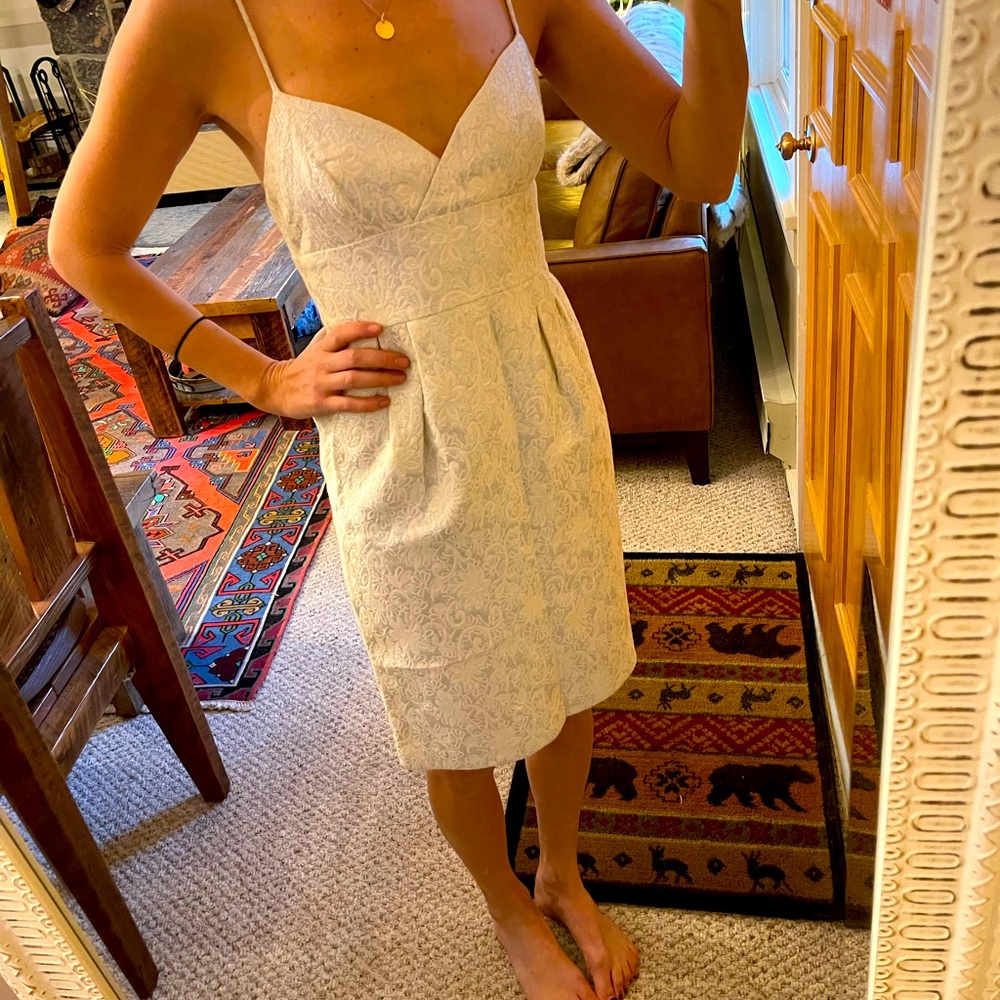 BCBG Holiday Cocktail Dress